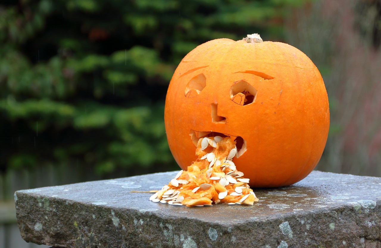 pumpkin, halloween, nausea, bad, unwell, vomit, throw up, gruesome, fall, october, scary, face, orange, nausea, nausea, vomit, vomit, vomit, vomit, vomit