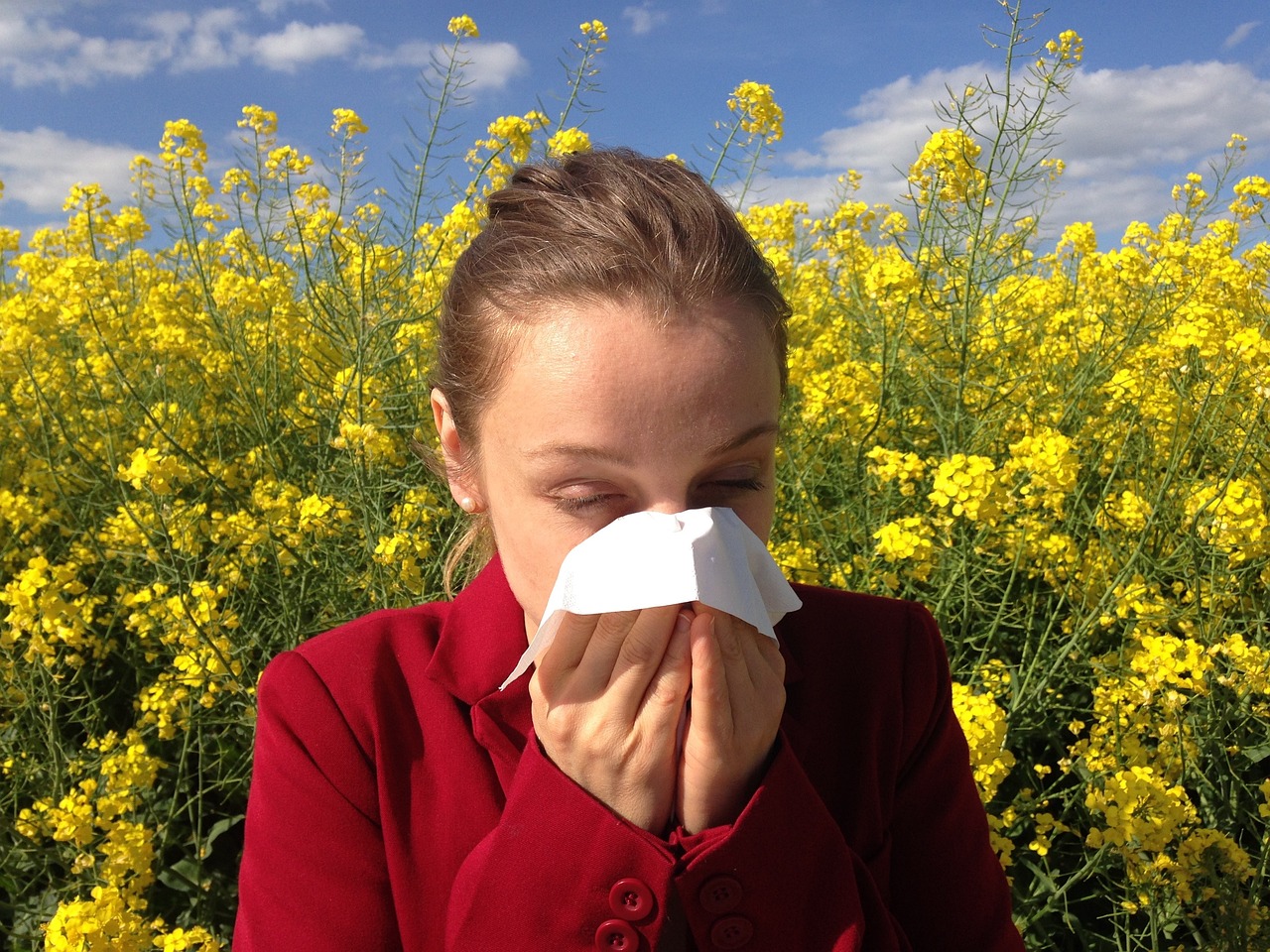 allergy, medical, allergic, allergen, health, medicine, pollen, reaction, allergy, allergy, allergy, allergy, allergy